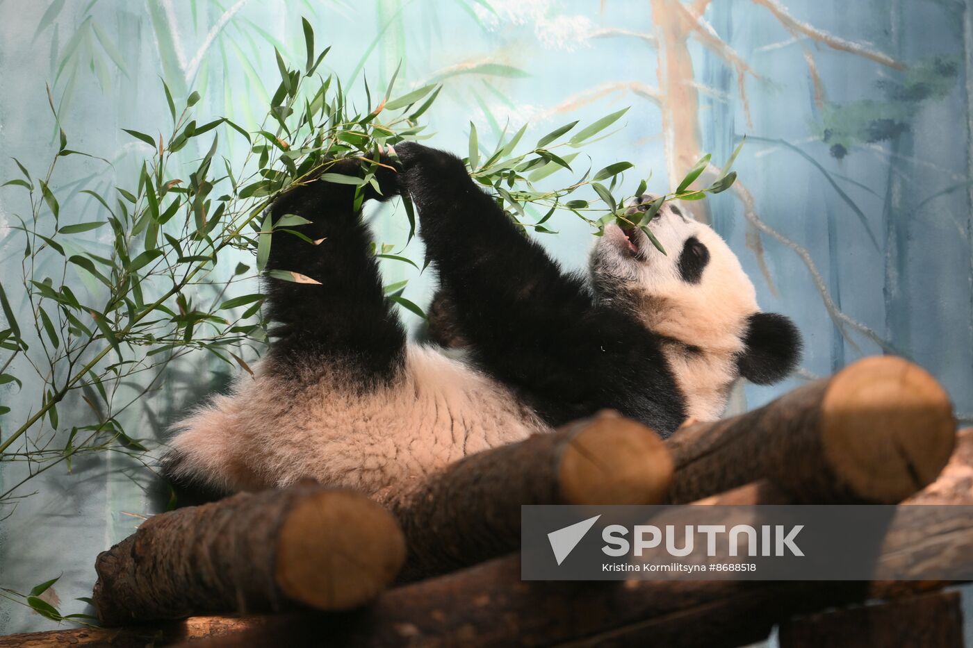 Russia Zoo