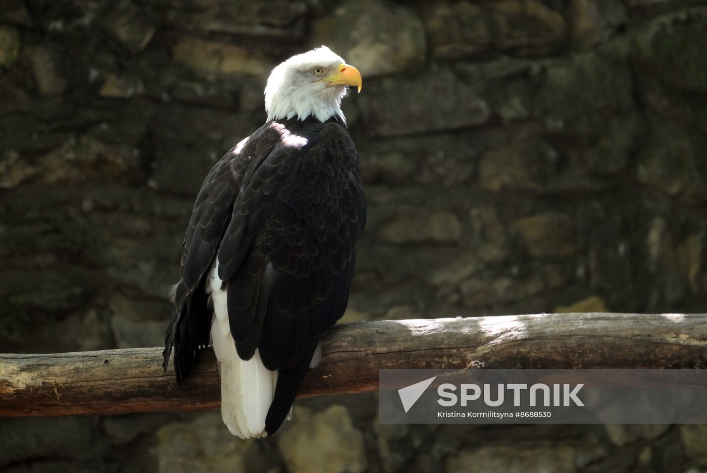 Russia Zoo