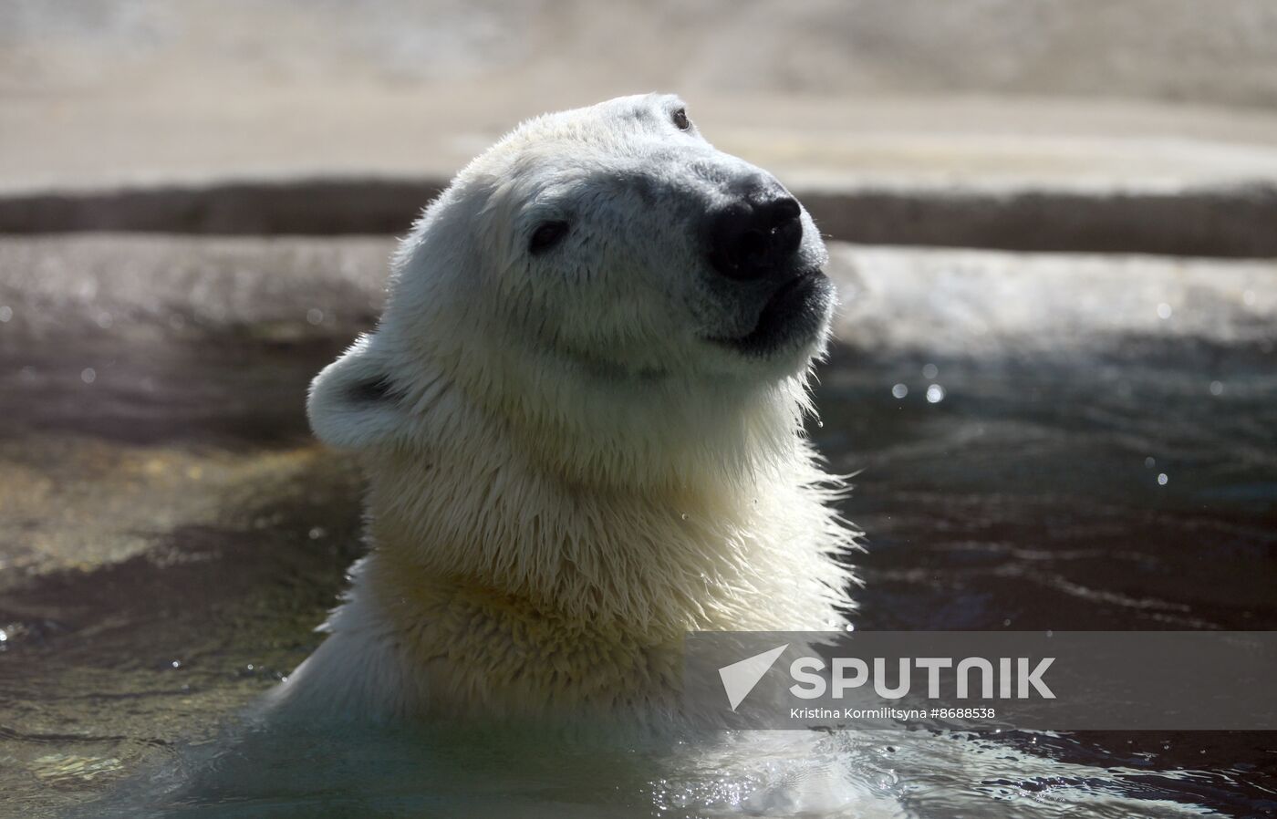 Russia Zoo