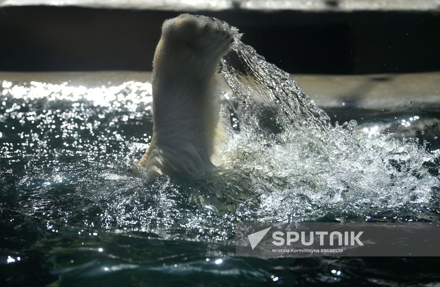 Russia Zoo