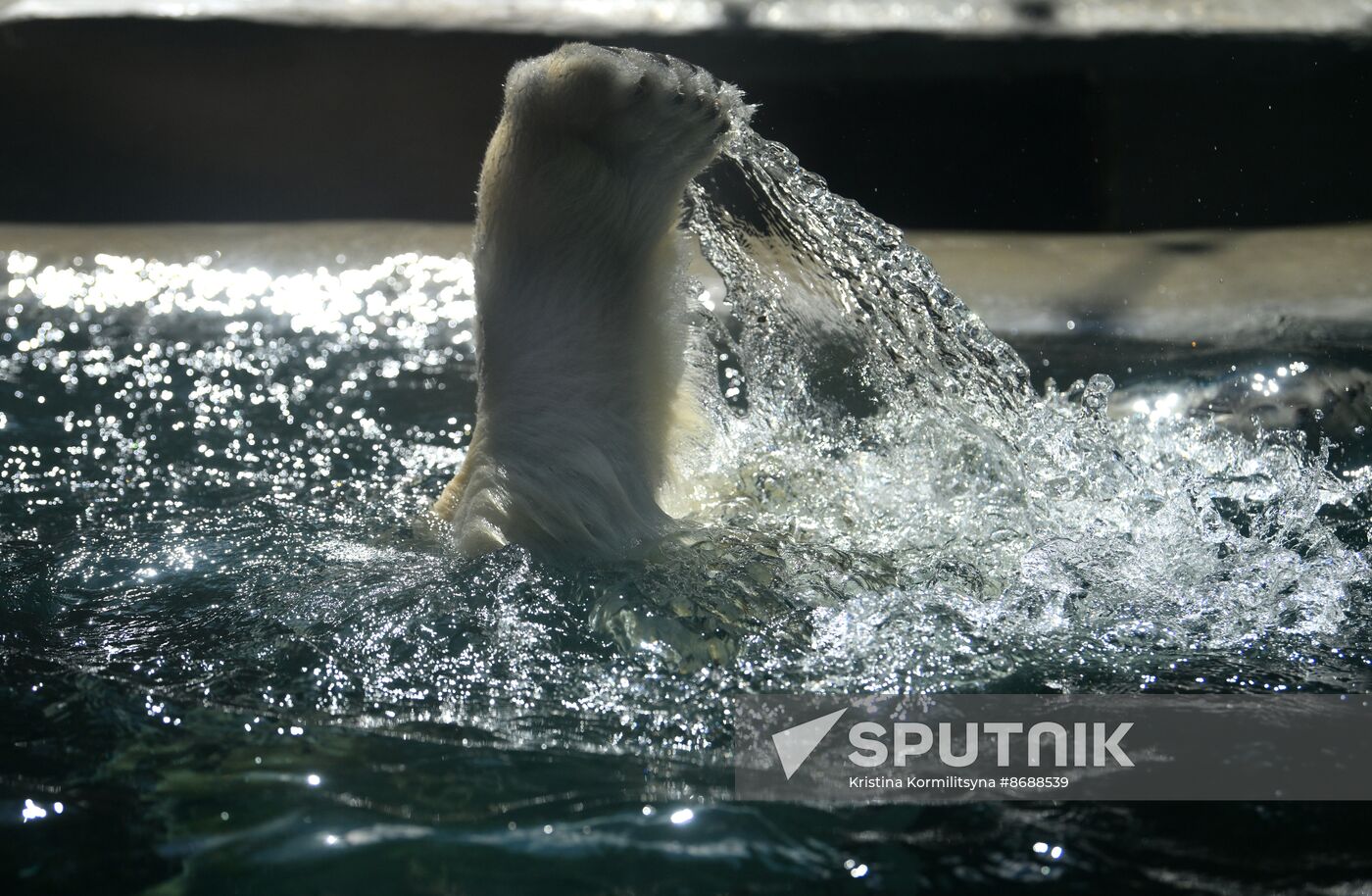 Russia Zoo