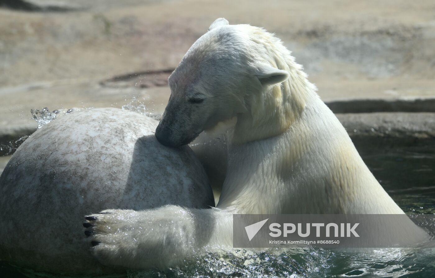 Russia Zoo