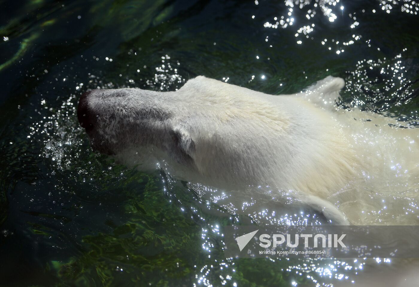 Russia Zoo