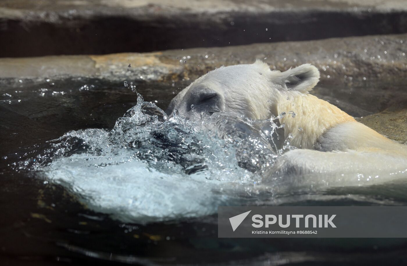 Russia Zoo