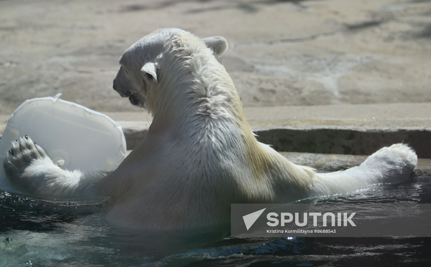 Russia Zoo