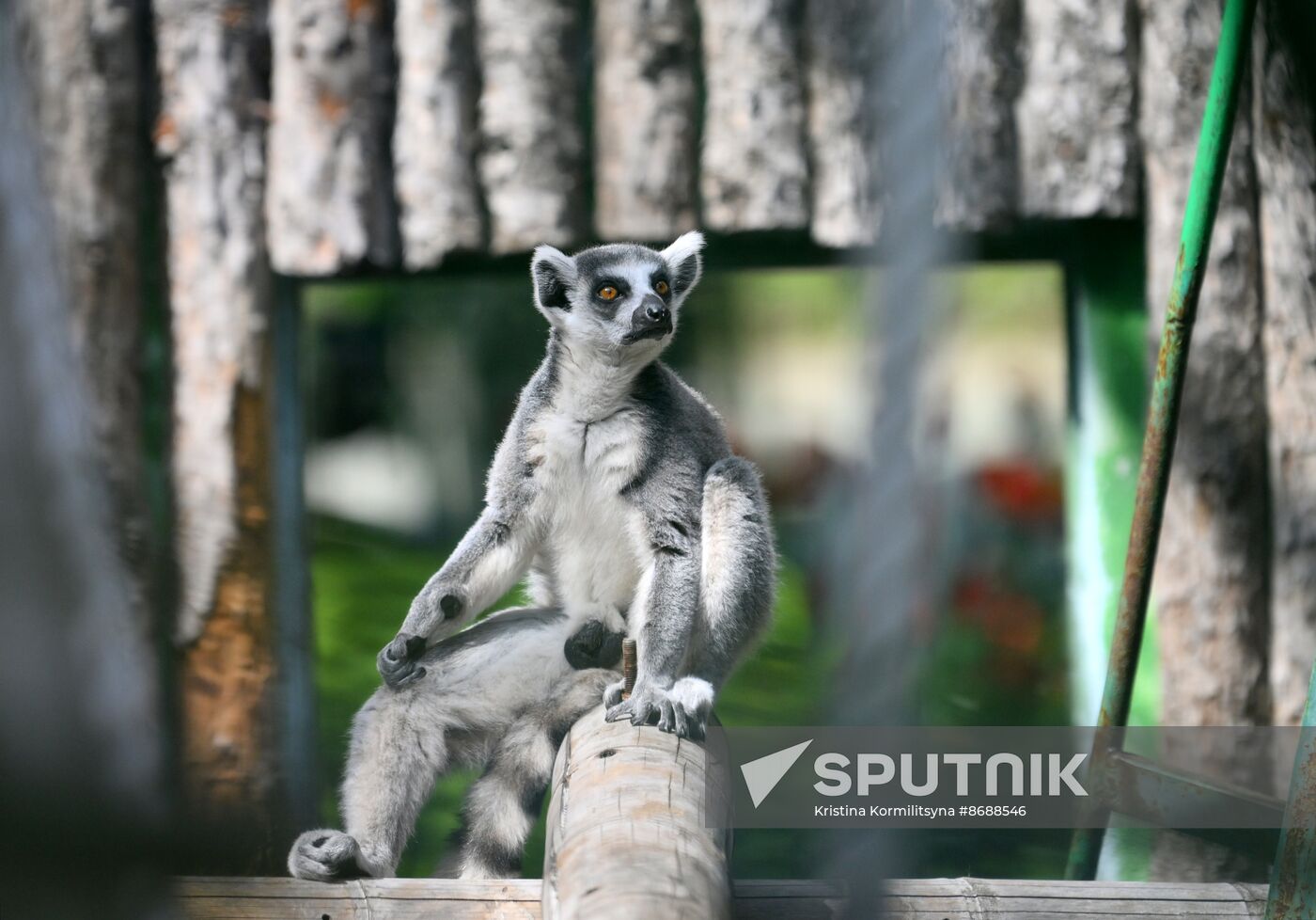 Russia Zoo