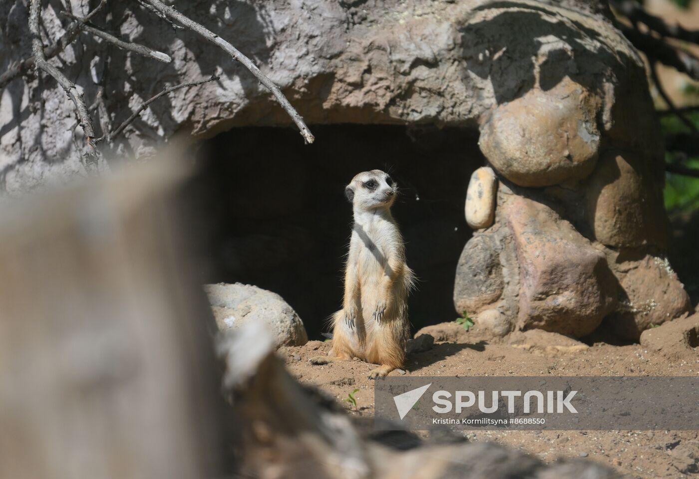 Russia Zoo