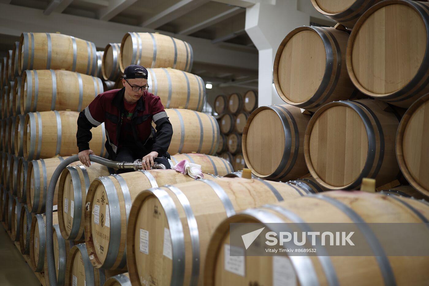 Russia Wine Industry