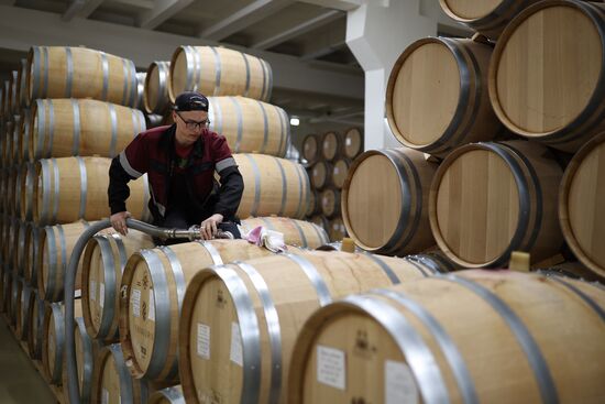 Russia Wine Industry