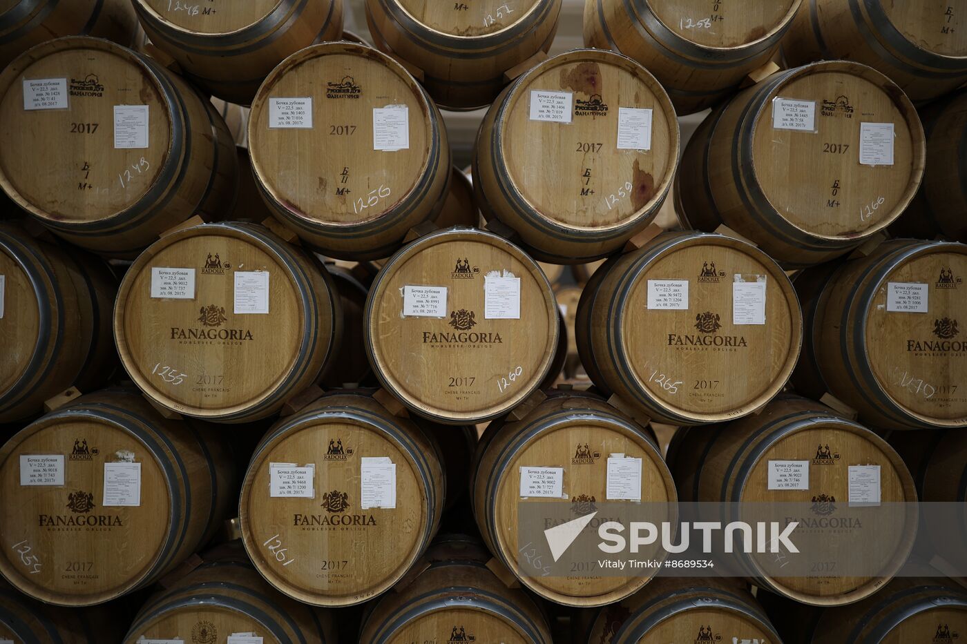 Russia Wine Industry