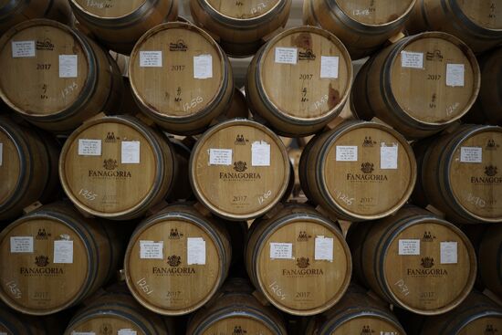 Russia Wine Industry
