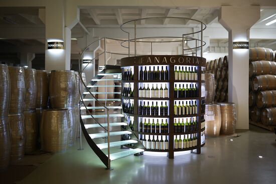 Russia Wine Industry
