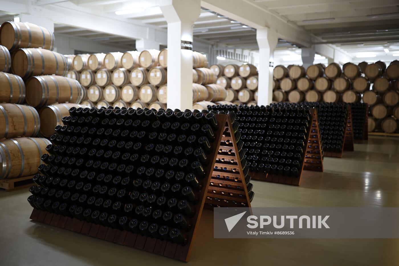 Russia Wine Industry