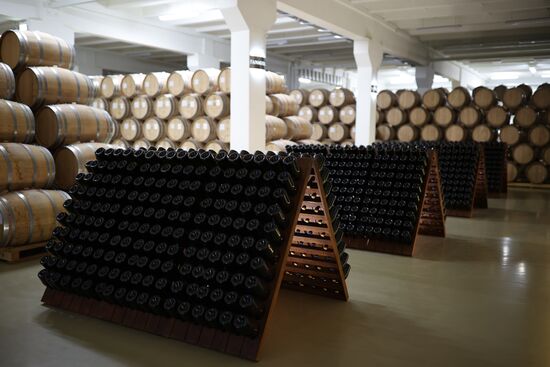 Russia Wine Industry