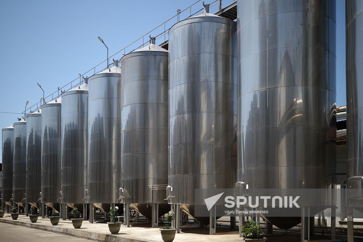 Russia Wine Industry