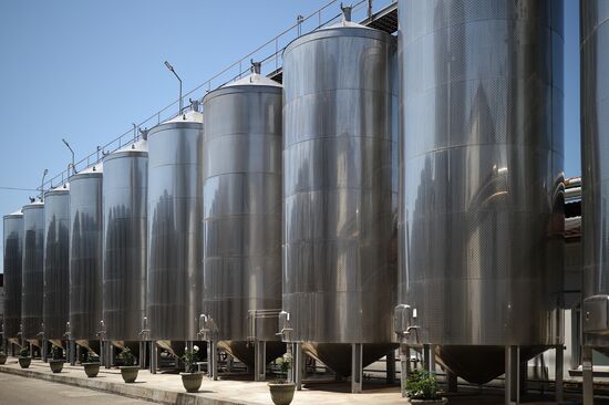Russia Wine Industry