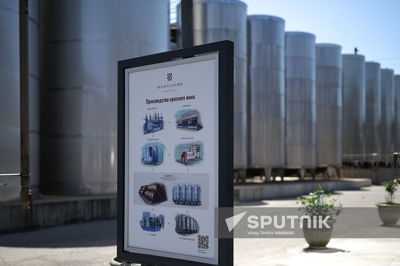 Russia Wine Industry