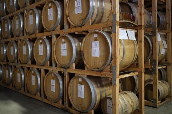 Russia Wine Industry