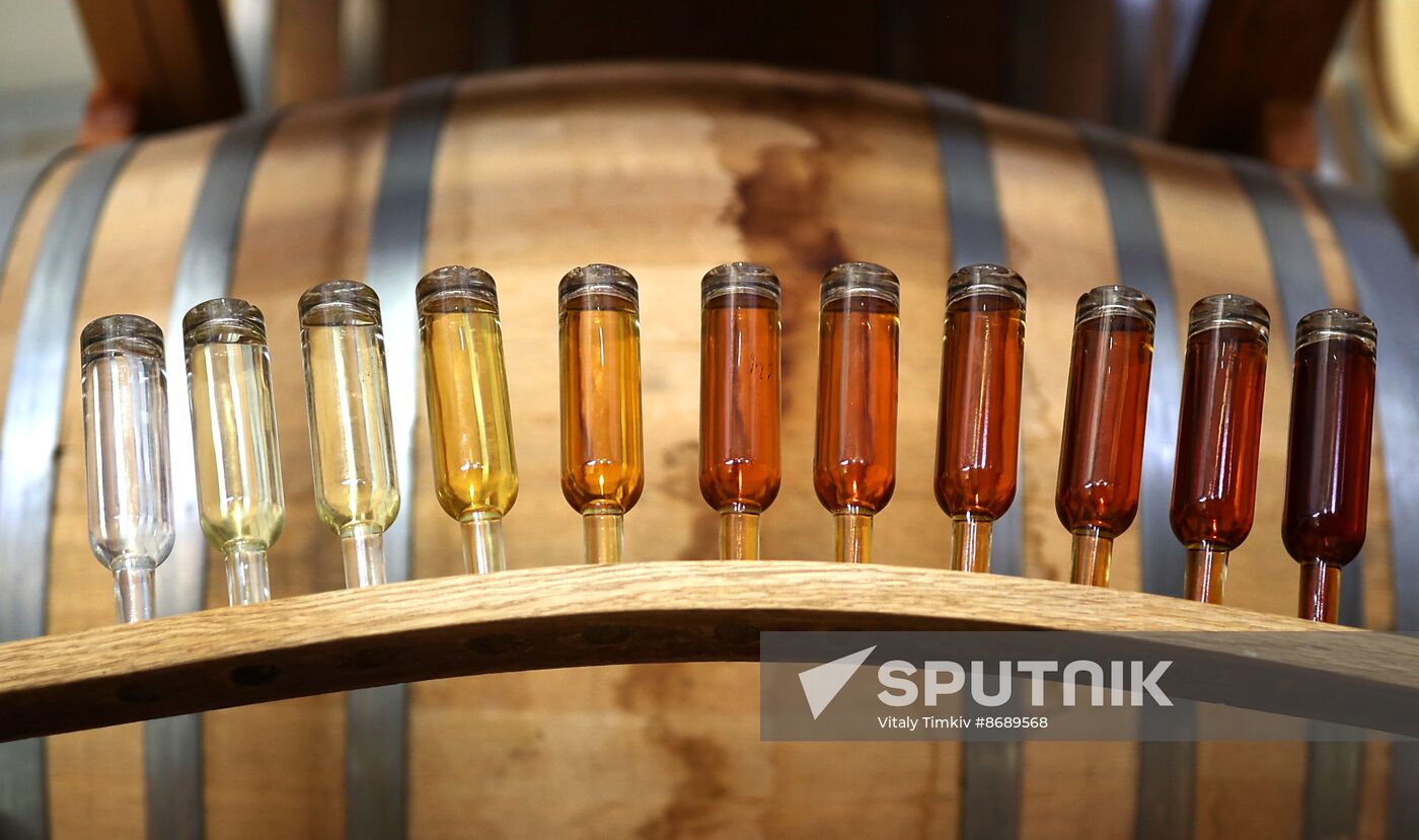 Russia Wine Industry
