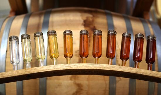 Russia Wine Industry