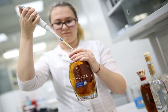Russia Wine Industry