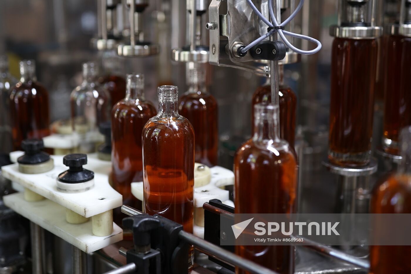 Russia Wine Industry
