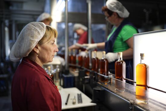 Russia Wine Industry