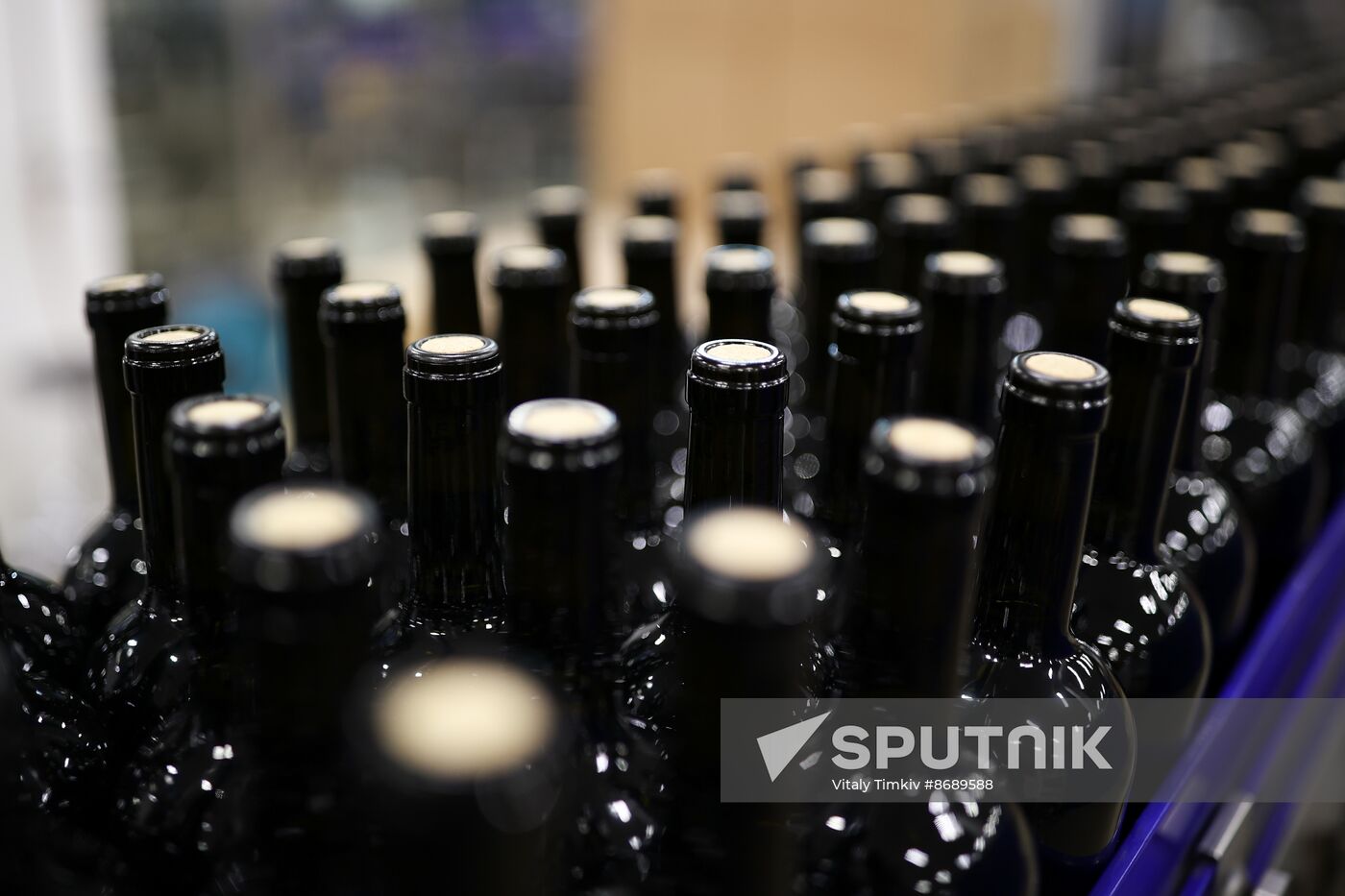 Russia Wine Industry