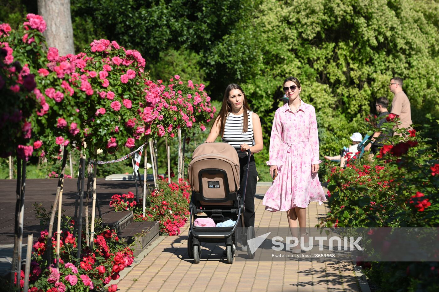 Russia Daily Life