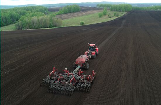 Russia Agriculture Sowing