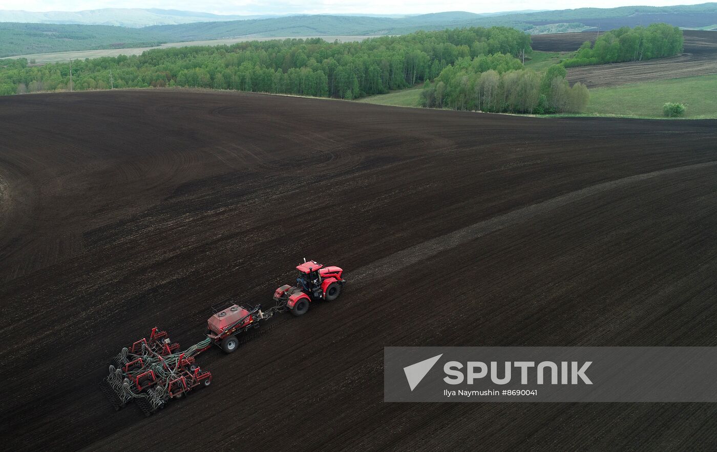 Russia Agriculture Sowing