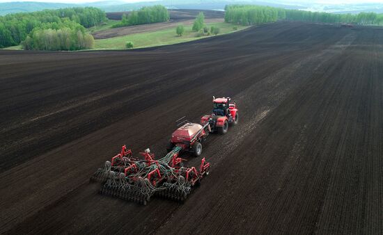 Russia Agriculture Sowing