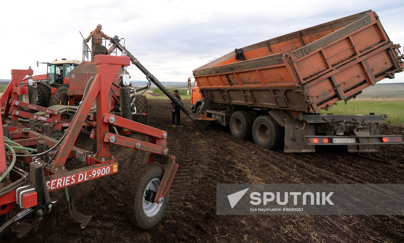 Russia Agriculture Sowing