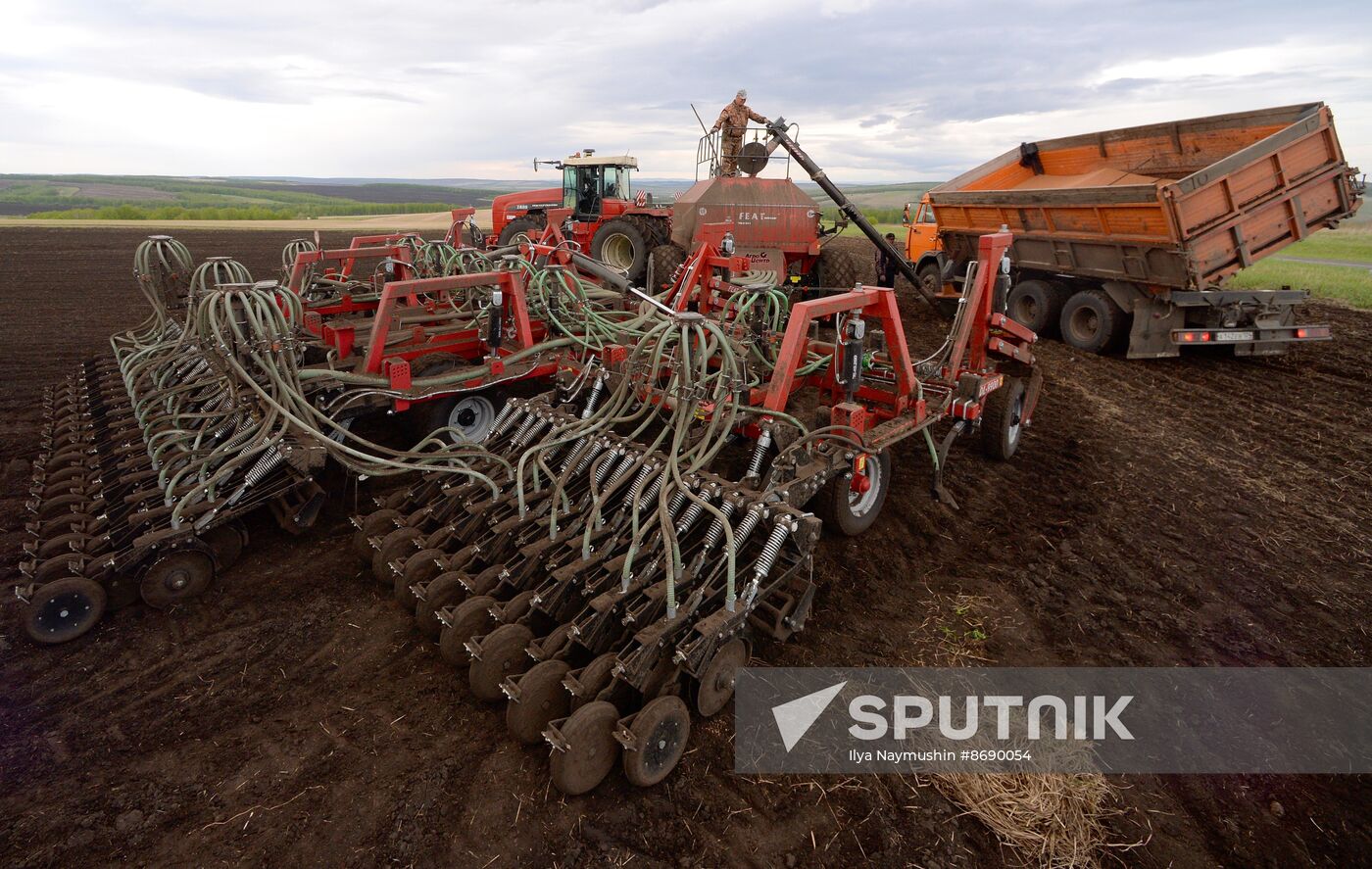 Russia Agriculture Sowing
