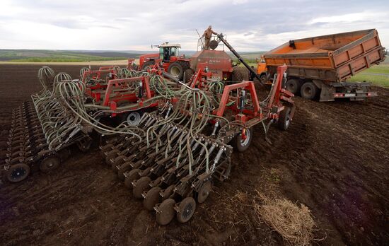 Russia Agriculture Sowing