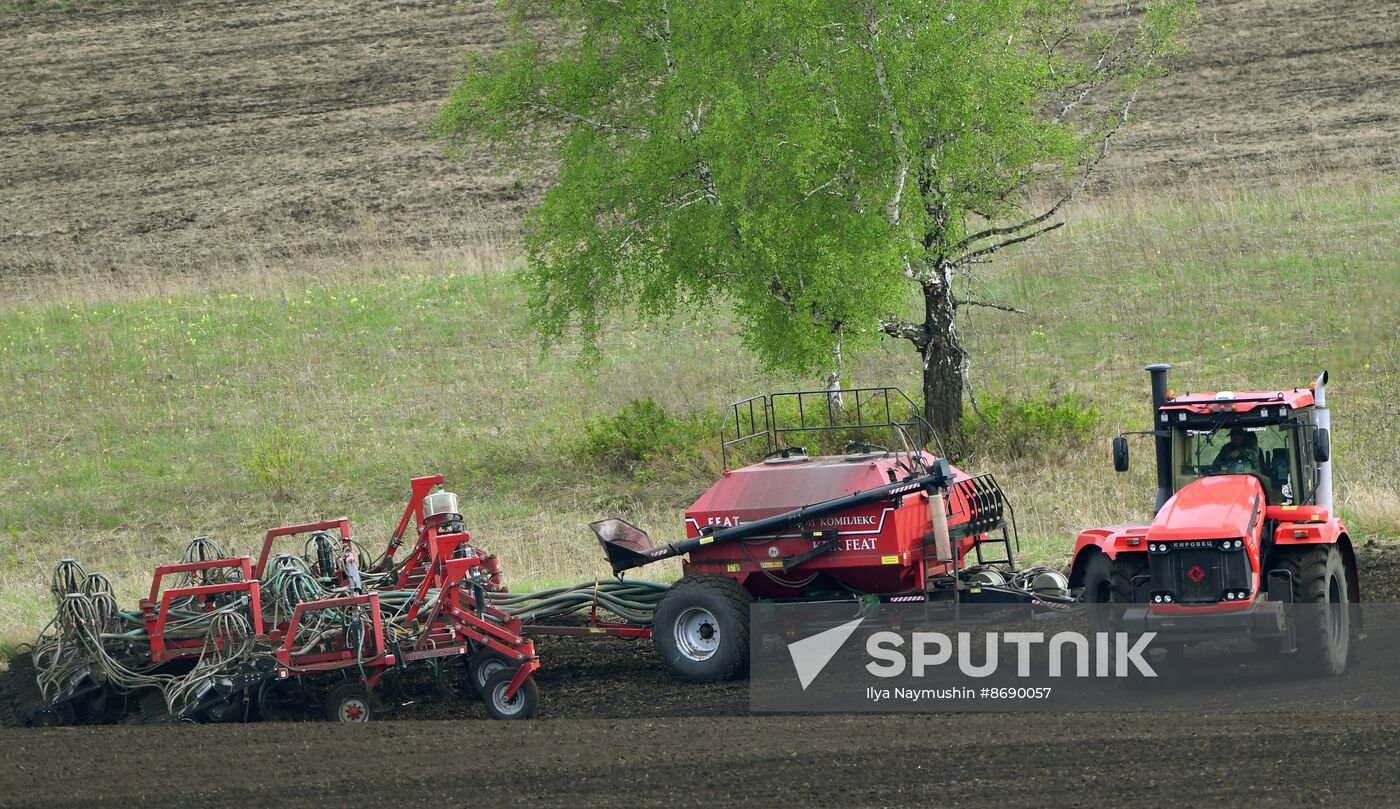 Russia Agriculture Sowing