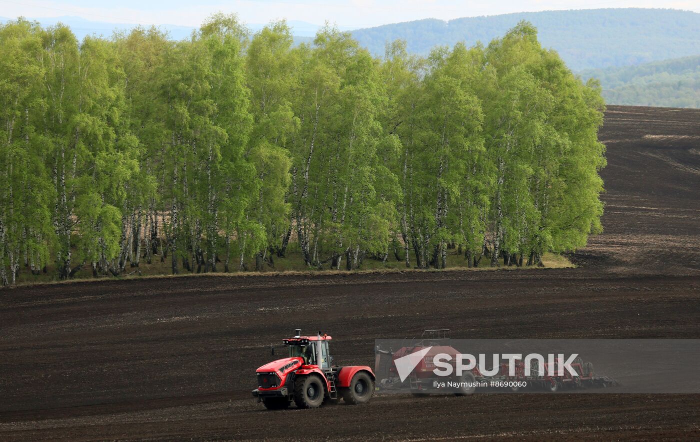 Russia Agriculture Sowing