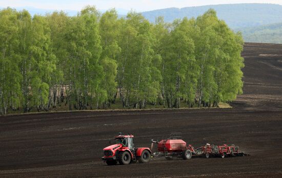 Russia Agriculture Sowing