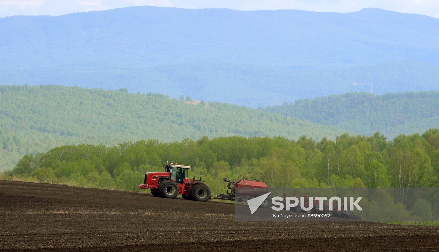 Russia Agriculture Sowing