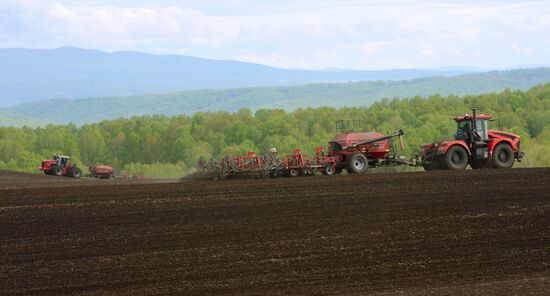 Russia Agriculture Sowing