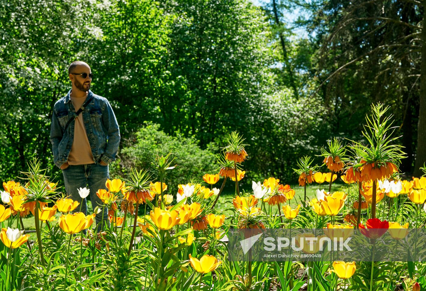 Russia Environment Tulips Festival