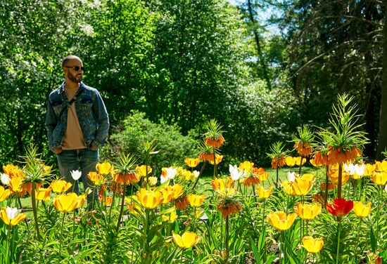 Russia Environment Tulips Festival