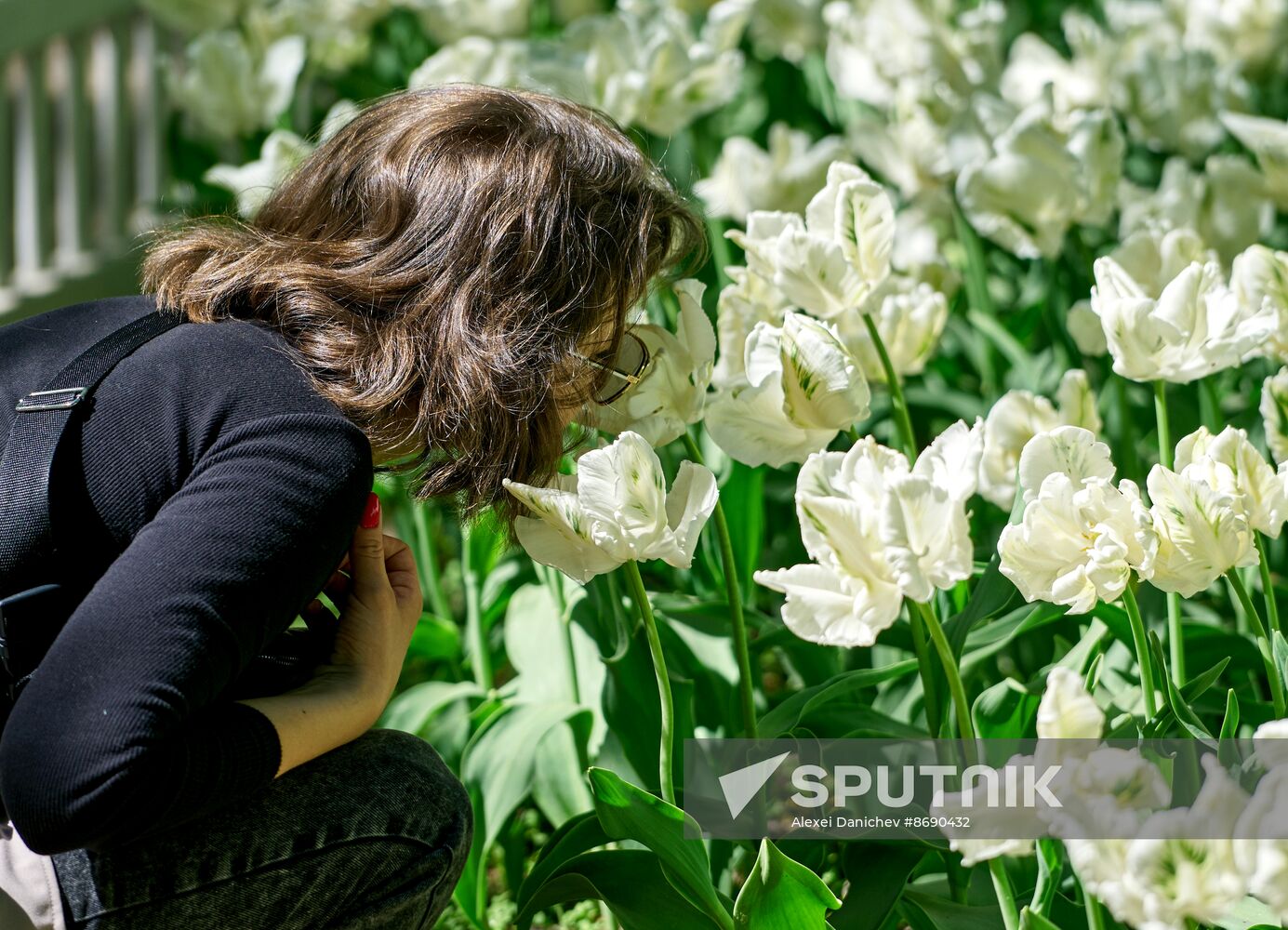 Russia Environment Tulips Festival