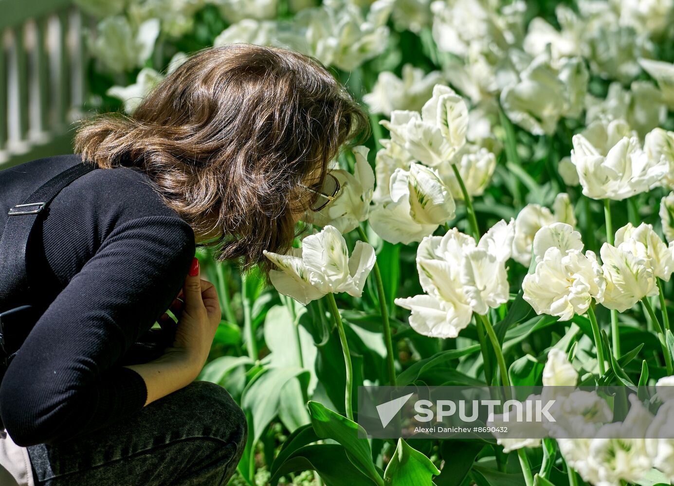 Russia Environment Tulips Festival