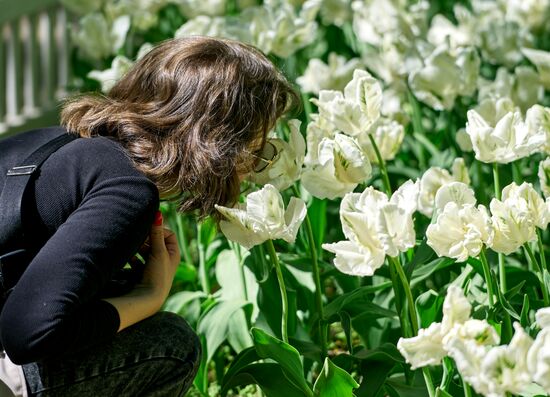Russia Environment Tulips Festival