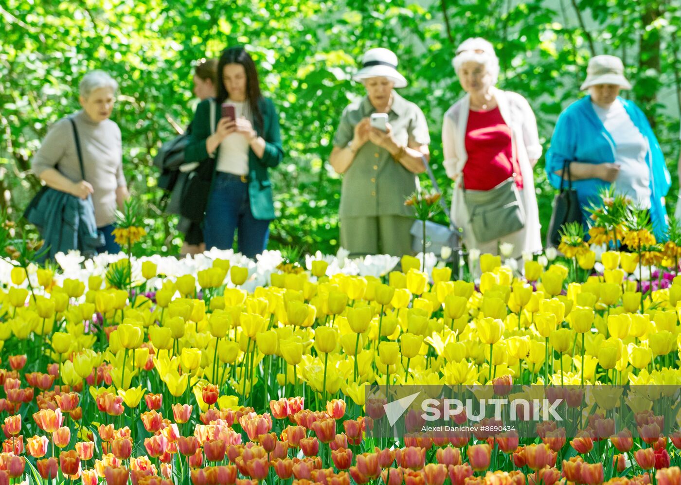 Russia Environment Tulips Festival