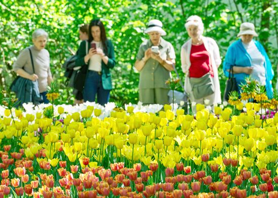 Russia Environment Tulips Festival