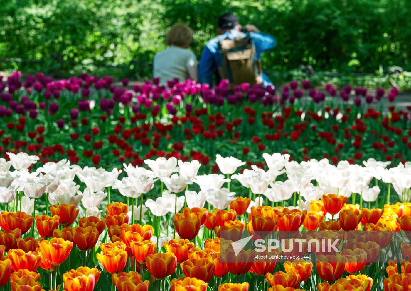 Russia Environment Tulips Festival
