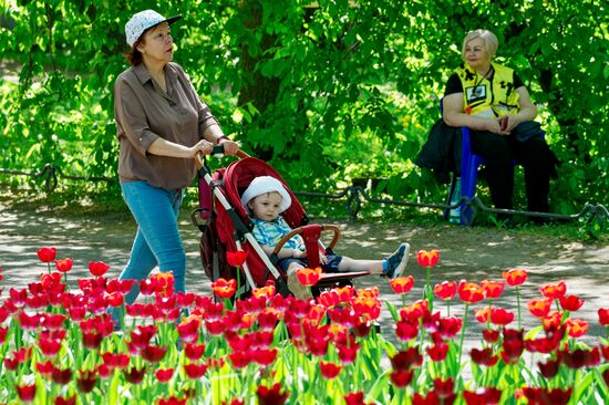 Russia Environment Tulips Festival