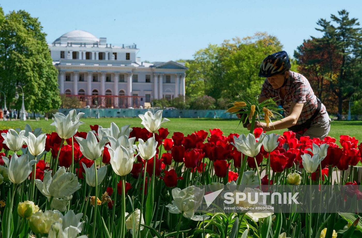 Russia Environment Tulips Festival